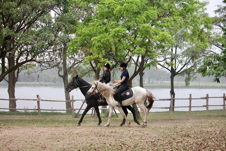 Hanoi Horseback Riding Tours - Exclusive Experience