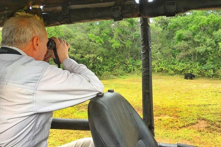 Wilpattu Wild Safari Day Trip - Private & All Inclusive