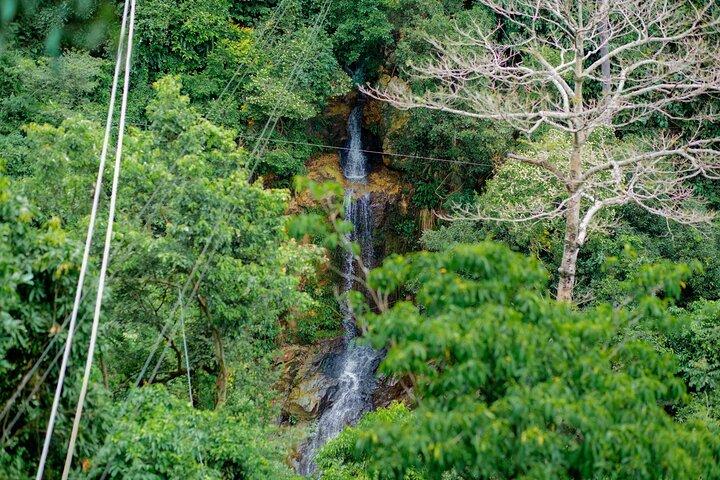 Koh Samui Jungle Zipline and Cafe with Waterfall Views