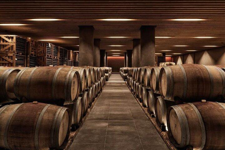 Athens to Nafplio & Nemea: Private Wine Tasting & History Tour