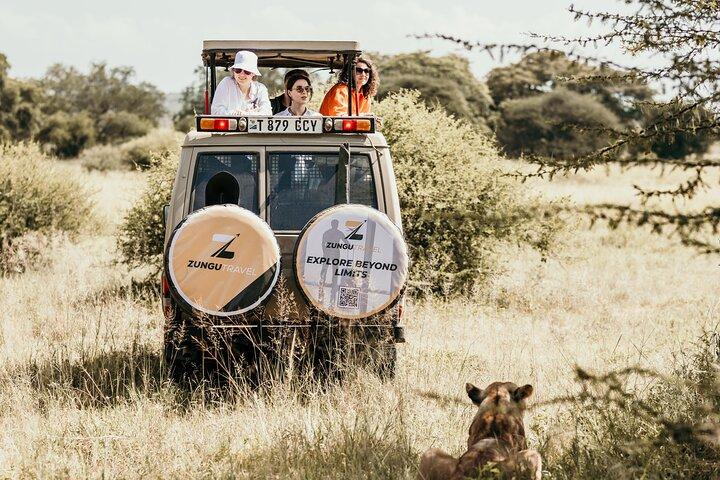 Tanzania Big 3 Safari 5 Days Tarangire, Serengeti and Ngorongoro