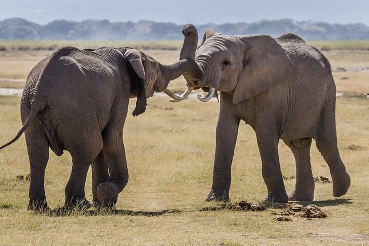 7 Day Off the Beaten Path with Private Luxury Safari on 4WD