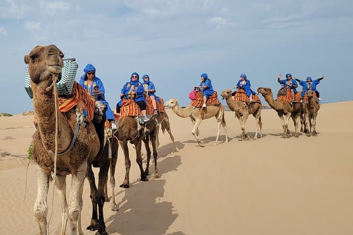 Essaouira 1-Hour Discovery Ride on a Camedary