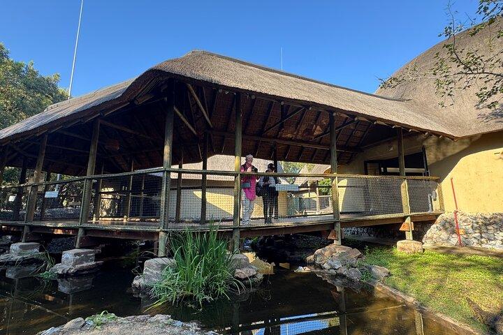 Cradle of Humankind Tour with Lion Safari from Johannesburg