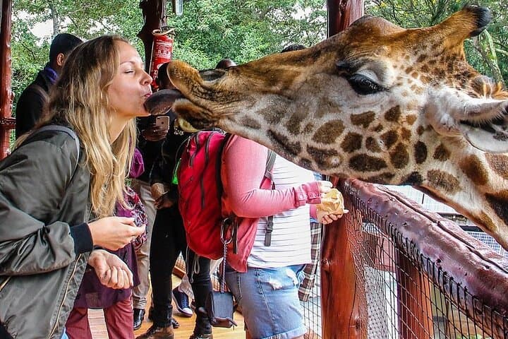 Day tour to Giraffe Center and Karen Blixen Museum
