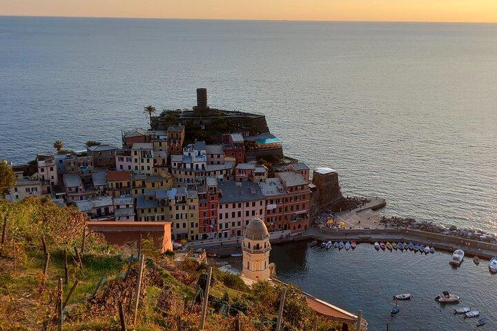 Olive grove tour with wine and oil tasting of the Cinque Terre