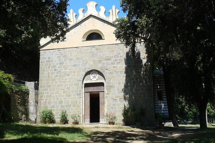 Olive grove tour with wine and oil tasting of the Cinque Terre