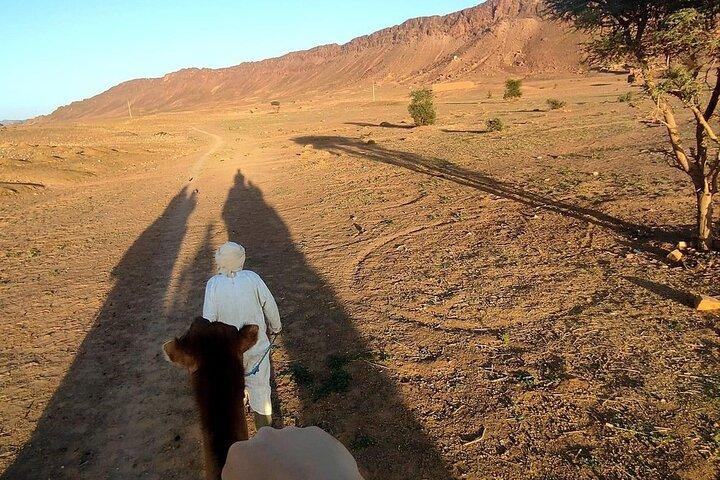 Marrakech To Zagora Tour 2 Days - Marrakech To Zagora