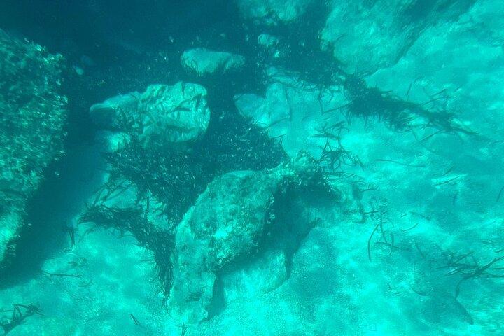 Dubrovnik: Blue Cave & Elaphiti islands & Optional Lunch Onboard