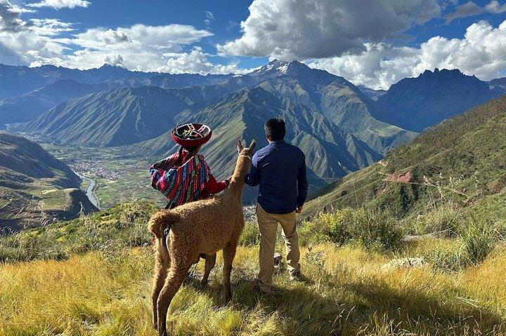 the best sacred valley tour: walk with Alpacas,culture experience