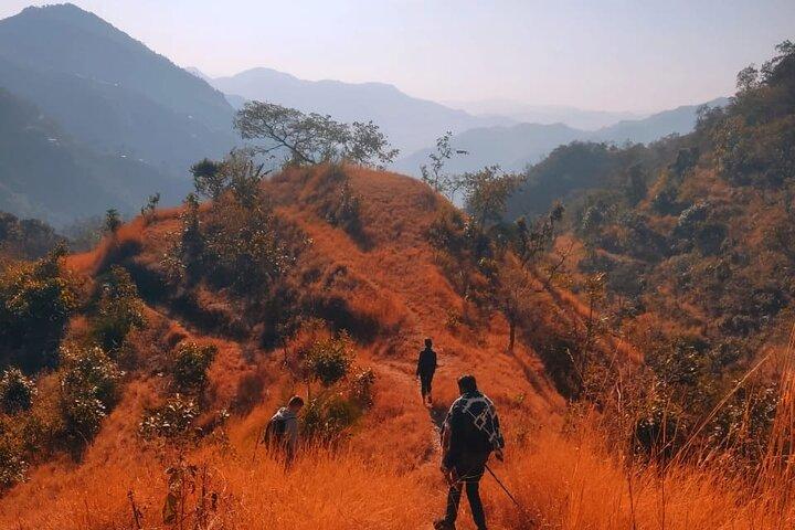 Rishikesh: Kunjapuri Sunrise Trek Tour in the Himalaya