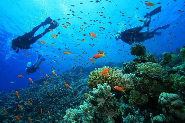 Antalya Scuba Diving & Snorkeling Tour with Lunch