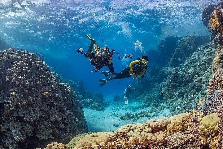 Antalya Scuba Diving & Snorkeling Tour with Lunch