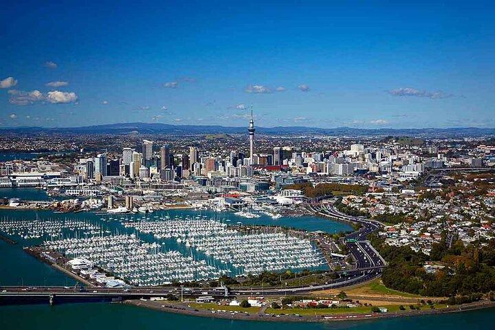 Half-Day Auckland City Tour – The City of Sails Uncovered