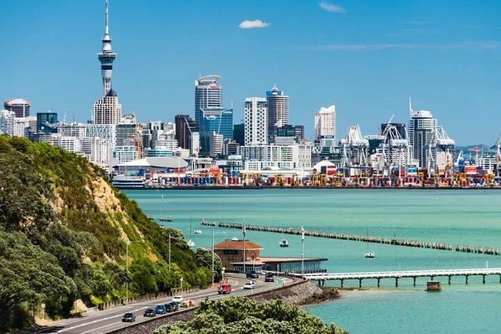Half-Day Auckland City Tour – The City of Sails Uncovered