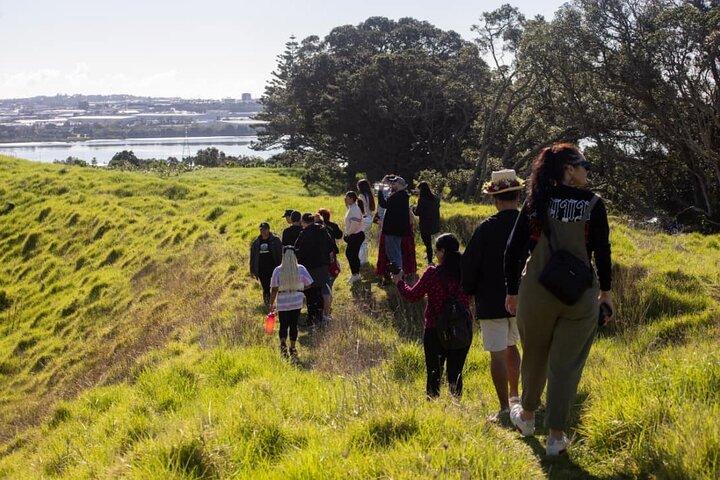 Auckland Urban Māori Experience with Transportation