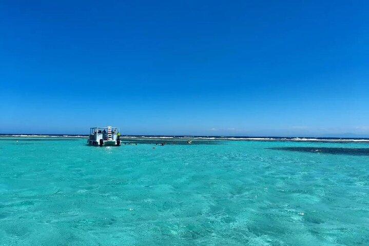 Roatan Monkey and sloths, Reef Snorkel & Private Cay Beach Break