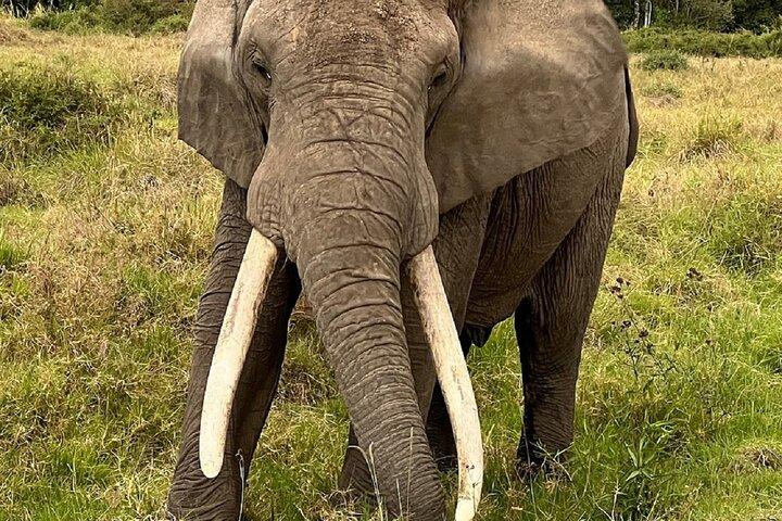 Nairobi: 2-Day Lake Nakuru & Lake Naivasha Safari with Boat Ride