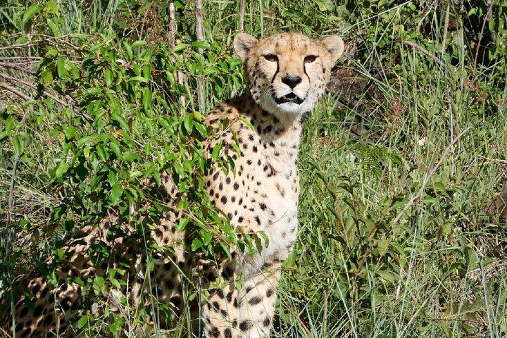 Nairobi: 2-Day Lake Nakuru & Lake Naivasha Safari with Boat Ride