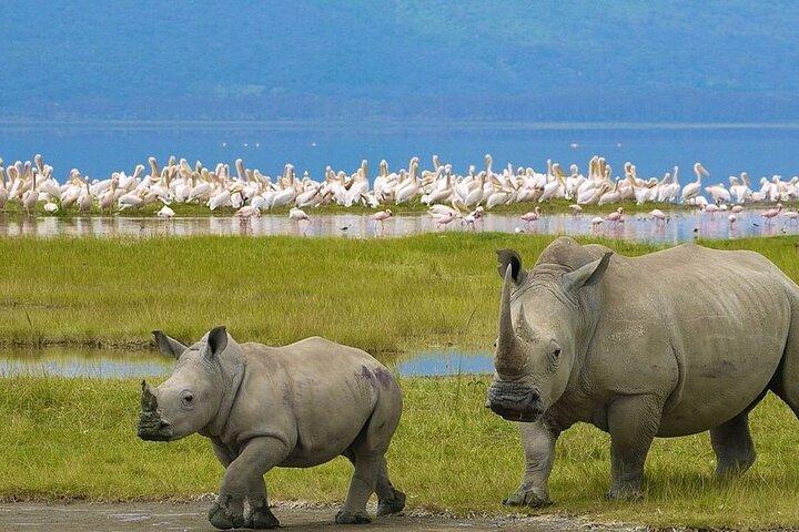 Nairobi: 2-Day Lake Nakuru & Lake Naivasha Safari with Boat Ride
