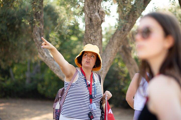 Early Access Acropolis & Old Athens Walking Tour in Spanish