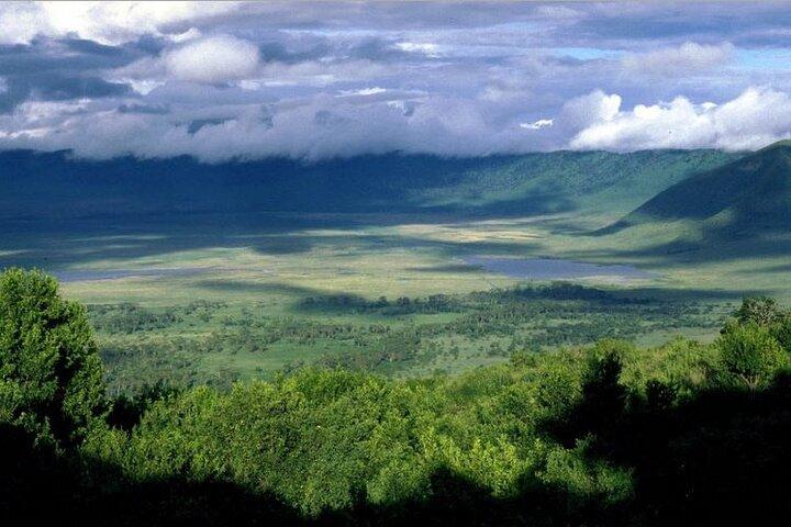 2 Days Tarangire and Ngorongoro Crater Safari from Zanzibar