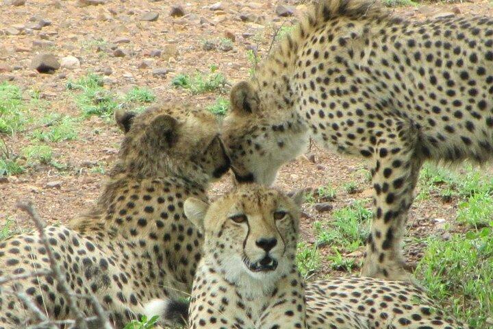 2 Days Tarangire and Ngorongoro Crater Safari from Zanzibar