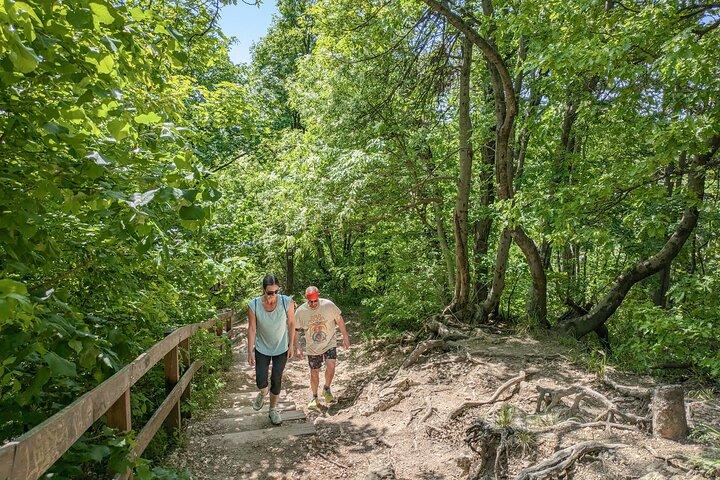 Panoramic hike around Budapest