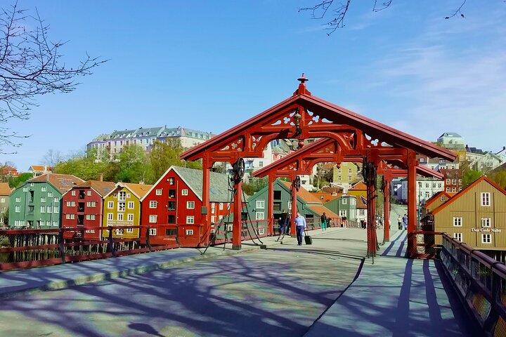 Trondheim: Discover the city of kings with a local guide
