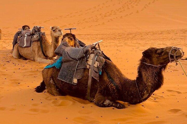 Marrakech Desert Tours 3 Days - 3 Days Marrakech Desert Tour