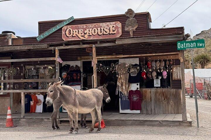 Route 66, Oatman, Nelson Ghost Town SmallGroup Tour from LasVegas