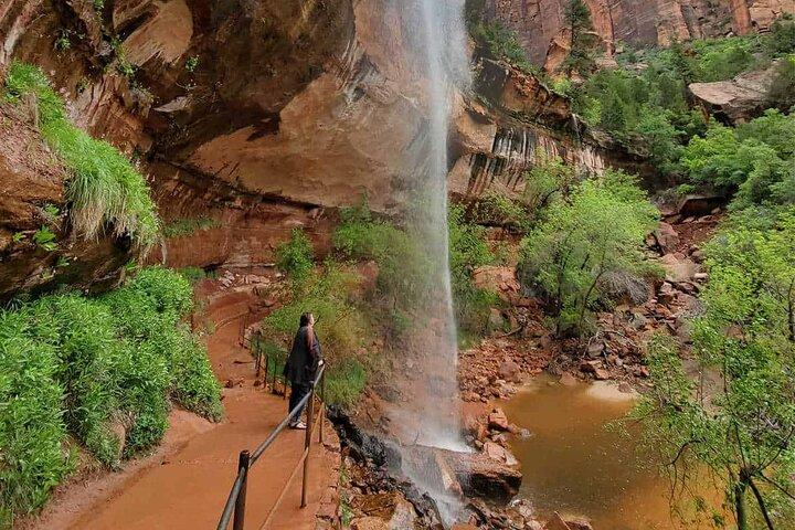 Zion National Park PRIVATE Full Day Insider Tour