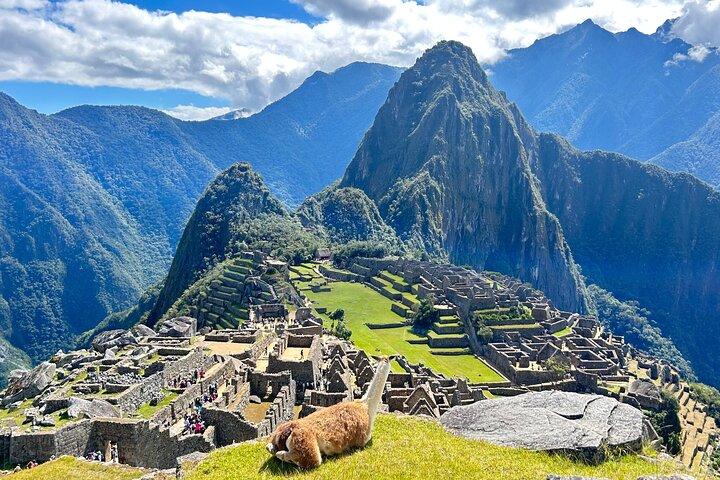Machu Picchu Full Day Trip by Train from Cusco