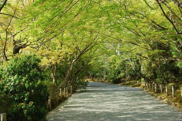 Kyoto: Kinkaku ji Temple Historical Guided Tour