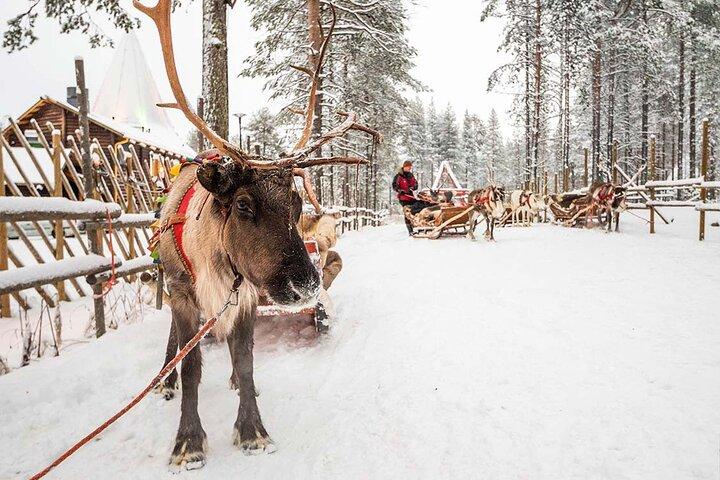 Santa’s Secrets: Guided Santa´s Village & Arctic Circle Tour