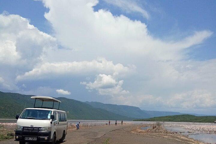 2 Day Lake Bogoria and Lake Nakuru National Park Safari