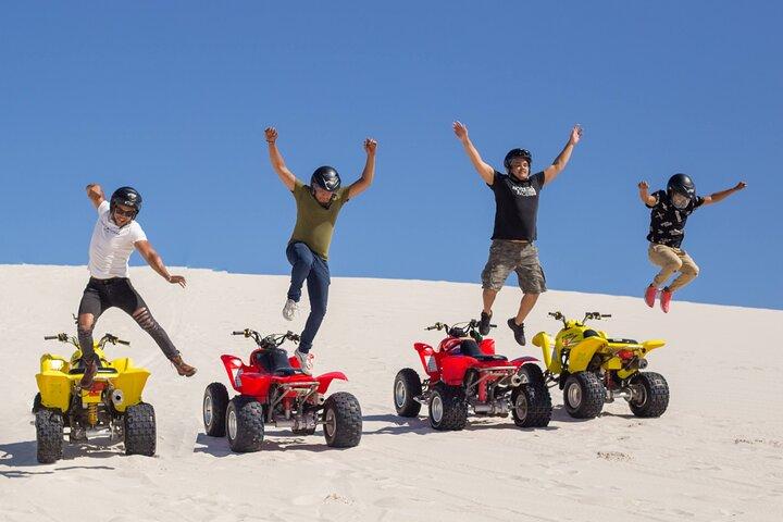 Cape Town City Pass: Save Over 50% on 80+ Top Attractions