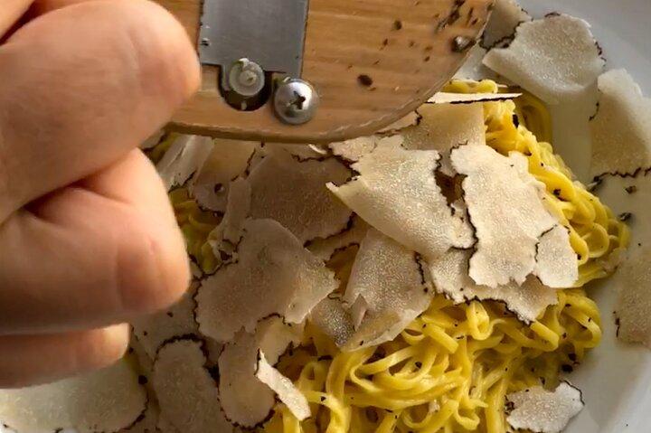 Truffle Picking Experience with 3 Course Meal in Chianti hills