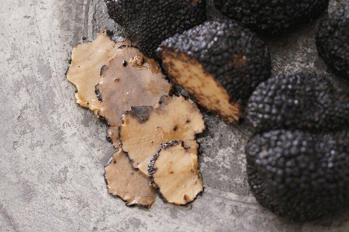 Truffle Picking Experience with 3 Course Meal in Chianti hills