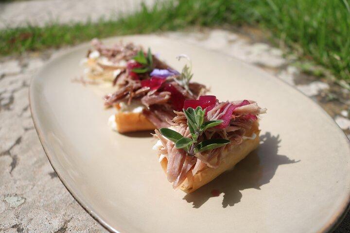 Organic Wine and Gourmet experience in Tuscany Chianti hills