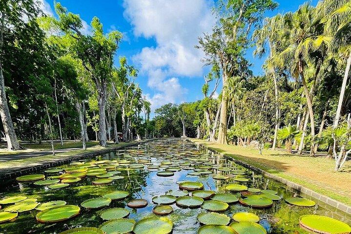 Mauritius North Island Discovery Tour