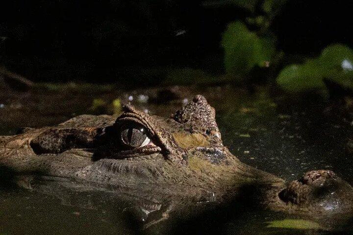 The Best of Tambopata 2 Days Tour: The Amazon’s Highlights