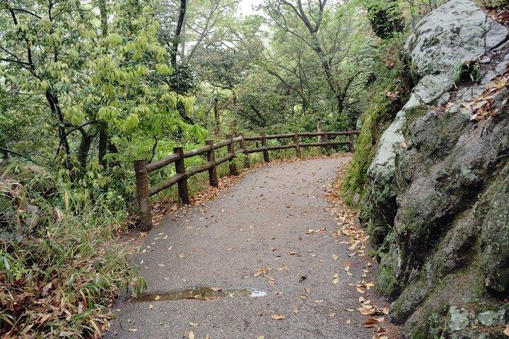 Kobe Nunobiki Falls Morning Guided Hike