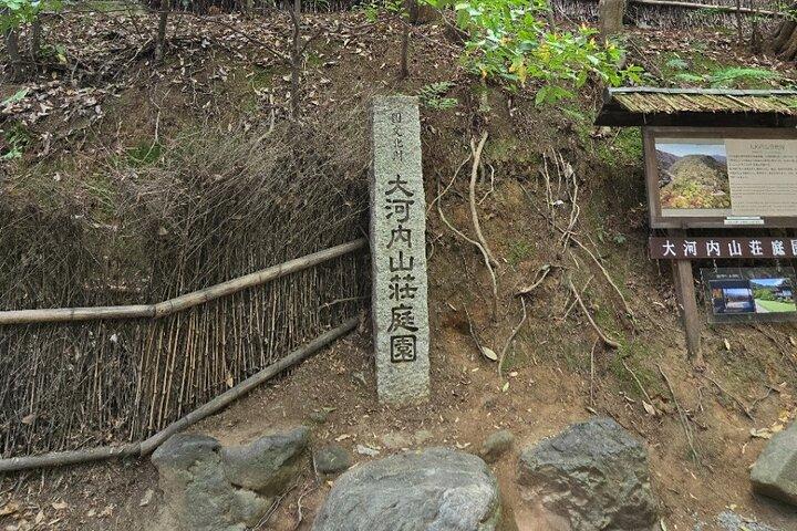 Arashiyama Half Day Tour