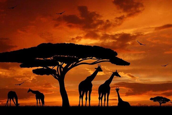 10 Days Tanzania Safari and Zanzibar Beach Holiday Combo