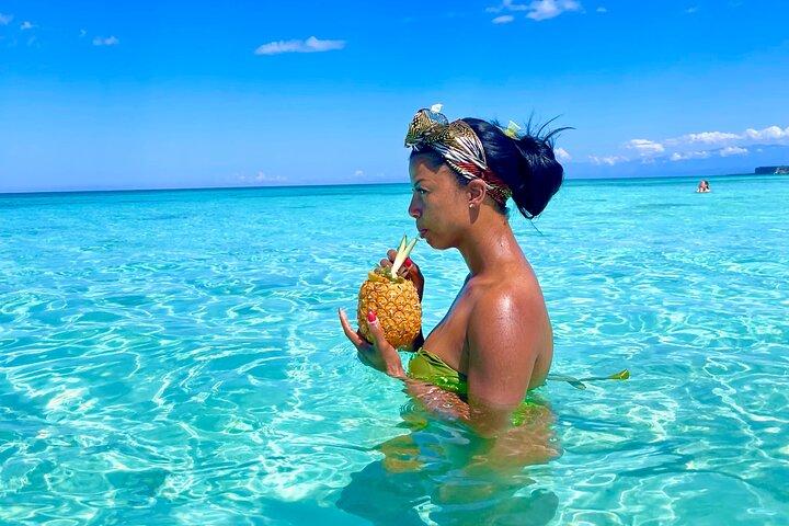 Bay of Eagles VIP : Full Day to Paradise From Santo Domingo