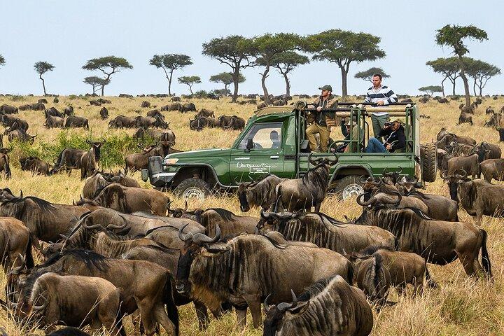 5 Days Maasai Mara and Ol Pejeta Conservancy Safari on 4WD Jeep