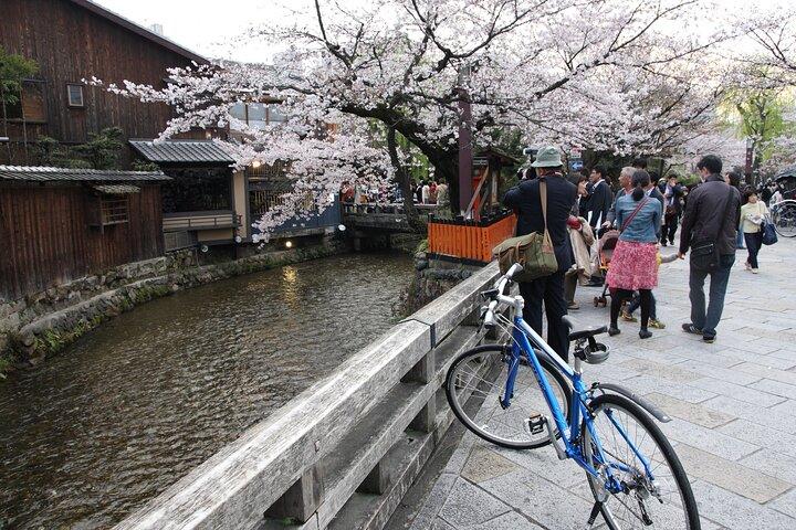 Discover Kyoto by Bike: Authentic Half Day Tour