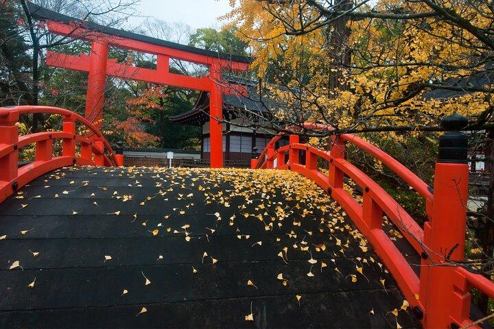 Discover Kyoto by Bike: Authentic Half Day Tour