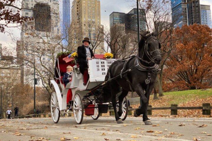 Official Private NYC CentralPark Horse Carriage Ride Since 1972
